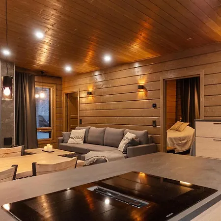 Siilinhippu By Interhome Holiday home Saariselka